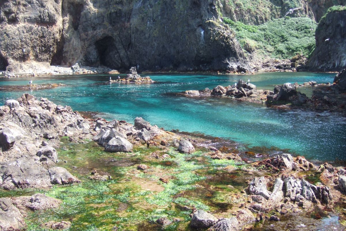 teuri-island