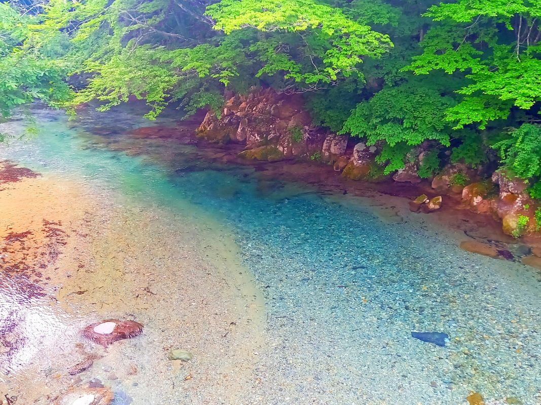 the-mata-valley-of-fresh-green-trees-at-nasu