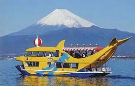 cruise_mito_bay_aboard_a_charming_dolphin-shaped_excursion_boat