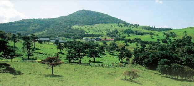 dashing_into_the_fields_of_green_mt-_murone_area