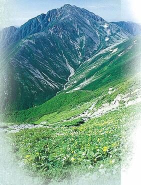 flowered_slopes_of_mt-_akaishi_and_mt-_arakawa