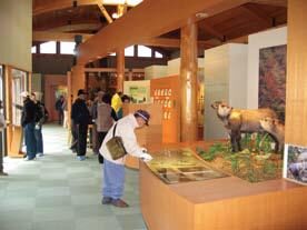 hamamatsu_city_misakubo_serow_and_interactive_museum_misakubo_field_museum