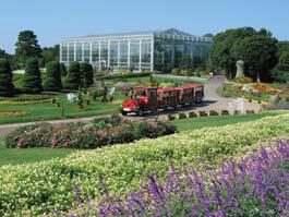 hamamatsu_flower_park