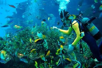 unique_ecology_of_the_deep_sea_fish_nagoya_aquarium